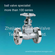 Forged Stainless Steel Flanged Gate Valve Class 150